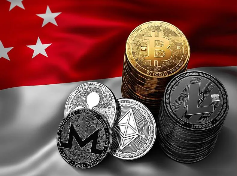 Singapore Formula - What is the Singapore Formula?